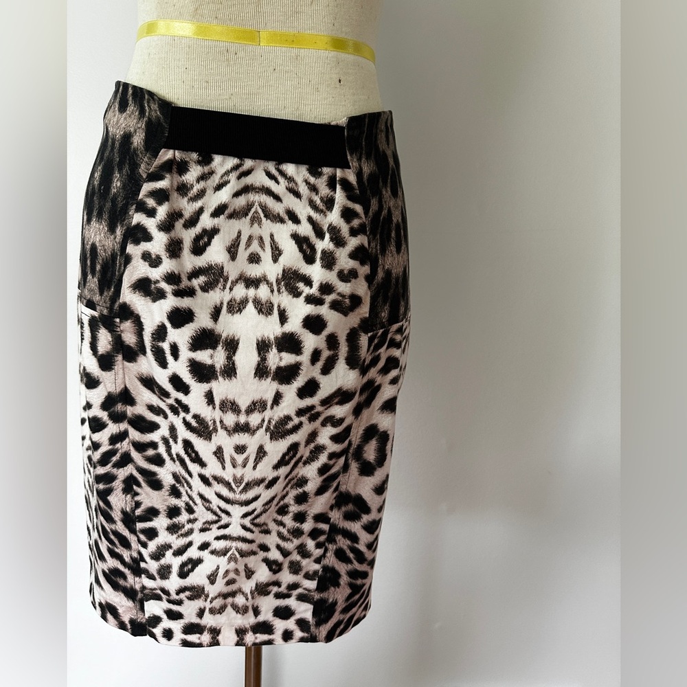 Corey Lynn Carter animal print skirt